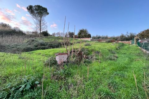 Terra a Morlupo, Rome, Morlupo - € 30.000 | Ref: 1487 - foto 4