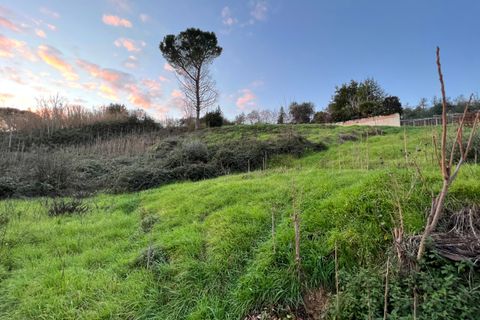 Terra a Morlupo, Rome, Morlupo - € 30.000 | Ref: 1487 - foto 5