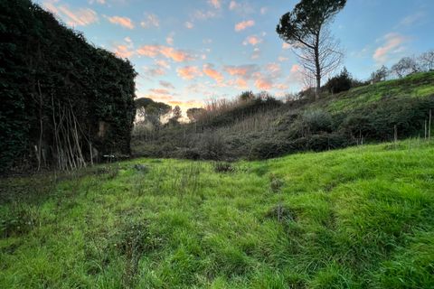 Terra a Morlupo, Rome, Morlupo - € 30.000 | Ref: 1487 - foto 6