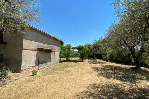 Villa a Amelia, Terni, Amelia - € 360.000 | Ref: 2356 - foto 12