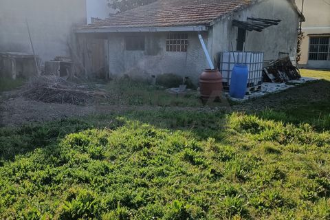 Leilighet i Collesalvetti, Livorno, Collesalvetti - € 95 000 | Ref: 4598 - foto 2