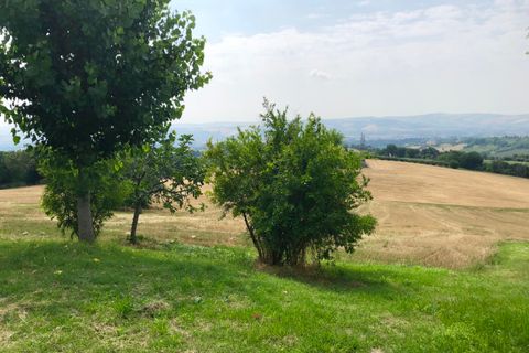 Erhvervsejendom i Jesi, Ancona, Jesi - € 99.000 | Ref: 459 - foto 3