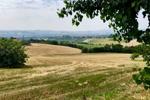 Erhvervsejendom i Jesi, Ancona, Jesi - € 99.000 | Ref: 459 - foto 7