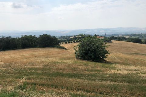 Erhvervsejendom i Jesi, Ancona, Jesi - € 99.000 | Ref: 459 - foto 8