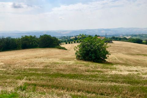 Erhvervsejendom i Jesi, Ancona, Jesi - € 99.000 | Ref: 459 - foto 9