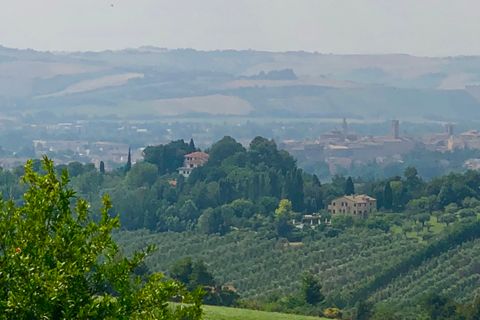 Erhvervsejendom i Jesi, Ancona, Jesi - € 99.000 | Ref: 459 - foto 12
