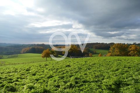 Villa a Calvinet, Cantal, Calvinet - € 28.000 | Ref: 82207254 - foto 2