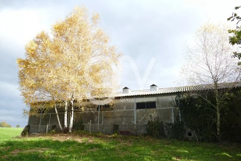 Villa a Calvinet, Cantal, Calvinet - € 28.000 | Ref: 82207254 - foto 3