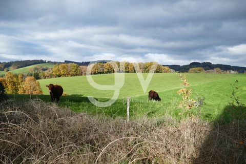 Villa a Calvinet, Cantal, Calvinet - € 28.000 | Ref: 82207254 - foto 6