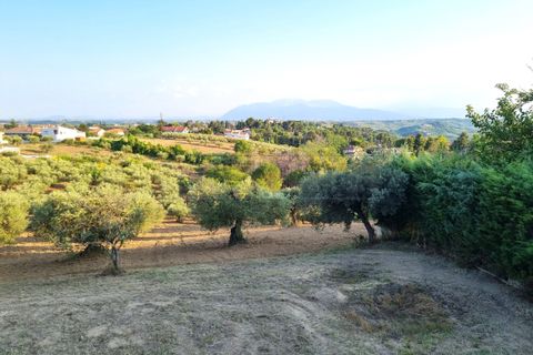 Villa a Pescara, Pescara, Pescara - € 165.000 | Ref: 1200-V - foto 7