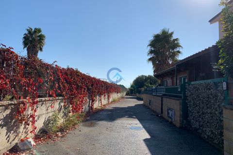 Villa a Simeri Crichi, Catanzaro, Simeri Crichi - € 75.000 | Ref: CZ-292 - foto 13
