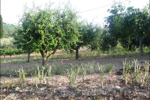 Villa i Offida, Ascoli Piceno, Offida - € 120.000 | Ref: 287-b - foto 7