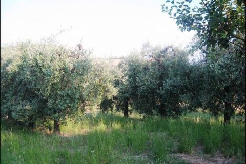 Villa i Offida, Ascoli Piceno, Offida - € 120.000 | Ref: 287-b - foto 9