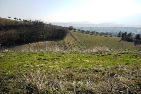 Terra a Castorano, Ascoli Piceno, Castorano - € 120.000 | Ref: 905 - foto 2