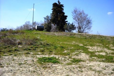 Terra a Castorano, Ascoli Piceno, Castorano - € 120.000 | Ref: 905 - foto 3
