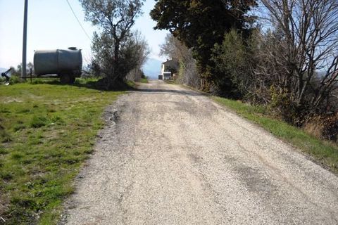 Terra a Castorano, Ascoli Piceno, Castorano - € 120.000 | Ref: 905 - foto 5