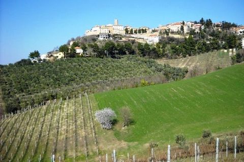 Terra a Castorano, Ascoli Piceno, Castorano - € 120.000 | Ref: 905 - foto 12
