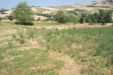 Villa en Offida, Ascoli Piceno, Offida - € 280.000 | Ref: 1113 - photo 2