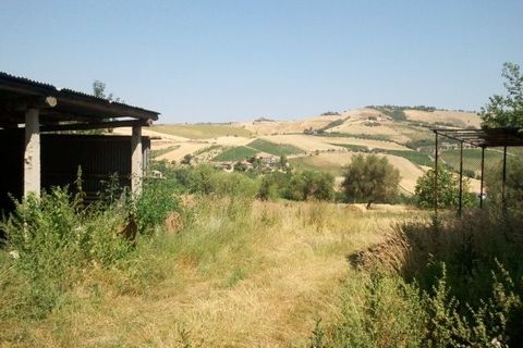Villa en Offida, Ascoli Piceno, Offida - € 280.000 | Ref: 1113 - photo 9