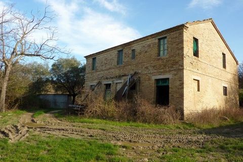 Villa en Offida, Ascoli Piceno, Offida - € 280.000 | Ref: 1113 - photo 16