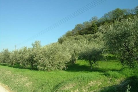 Villa a Campofilone, Fermo, Campofilone - € 280.000 | Ref: 3072 - foto 2