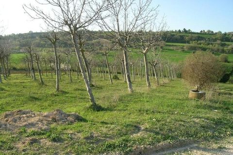 Villa a Campofilone, Fermo, Campofilone - € 280.000 | Ref: 3072 - foto 3