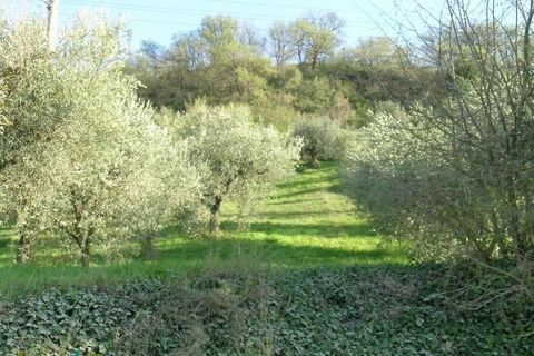 Villa a Campofilone, Fermo, Campofilone - € 280.000 | Ref: 3072 - foto 4