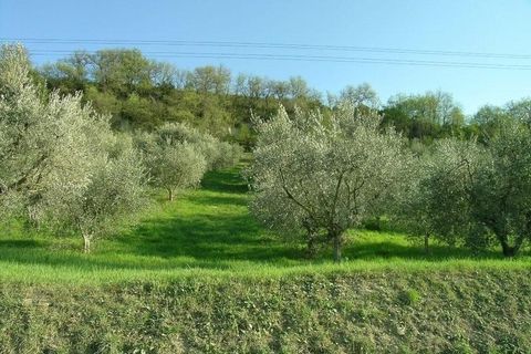 Villa a Campofilone, Fermo, Campofilone - € 280.000 | Ref: 3072 - foto 6