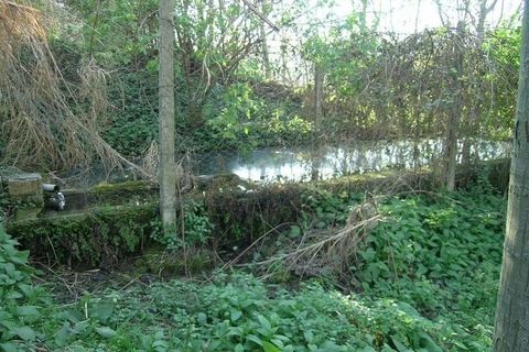 Villa a Campofilone, Fermo, Campofilone - € 280.000 | Ref: 3072 - foto 11