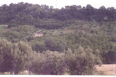 Villa a Campofilone, Fermo, Campofilone - € 280.000 | Ref: 3072 - foto 14