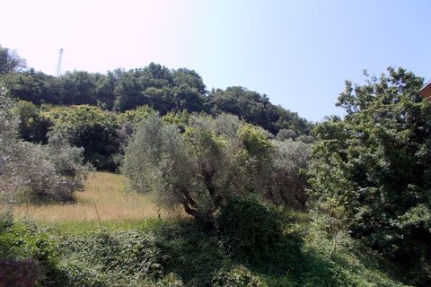 Villa a Campofilone, Fermo, Campofilone - € 280.000 | Ref: 3072 - foto 20
