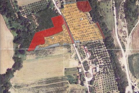 Villa a Campofilone, Fermo, Campofilone - € 280.000 | Ref: 3072 - foto 23