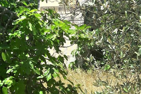 Villa a Colonnella, Teramo, Colonnella - € 140.000 | Ref: 4110 - foto 4
