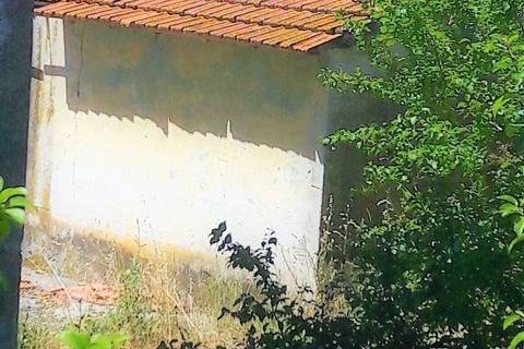 Villa a Colonnella, Teramo, Colonnella - € 140.000 | Ref: 4110 - foto 12