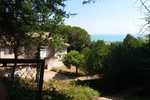 Terra a Tortoreto, Teramo, Tortoreto - € 590.000 | Ref: 4930 - foto 15