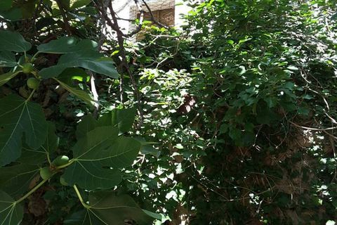 Villa a Cupra Marittima, Ascoli Piceno, Cupra Marittima - € 210.000 | Ref: 4957 - foto 3