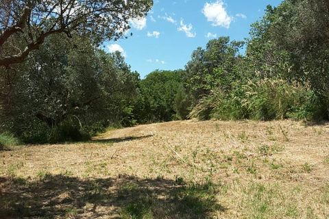 Villa a Cupra Marittima, Ascoli Piceno, Cupra Marittima - € 210.000 | Ref: 4957 - foto 6