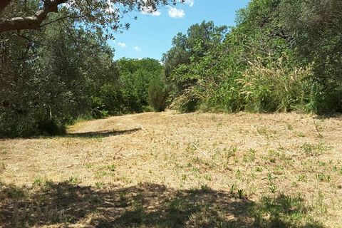 Villa a Cupra Marittima, Ascoli Piceno, Cupra Marittima - € 210.000 | Ref: 4957 - foto 7