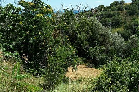 Villa a Cupra Marittima, Ascoli Piceno, Cupra Marittima - € 210.000 | Ref: 4957 - foto 9