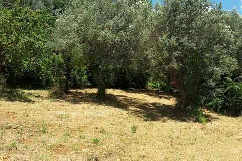 Villa a Cupra Marittima, Ascoli Piceno, Cupra Marittima - € 210.000 | Ref: 4957 - foto 10