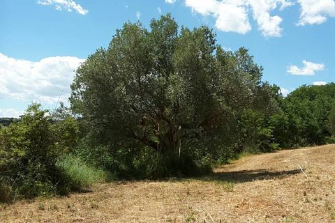 Villa a Cupra Marittima, Ascoli Piceno, Cupra Marittima - € 210.000 | Ref: 4957 - foto 12