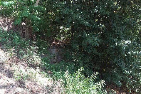 Villa a Cupra Marittima, Ascoli Piceno, Cupra Marittima - € 210.000 | Ref: 4957 - foto 13