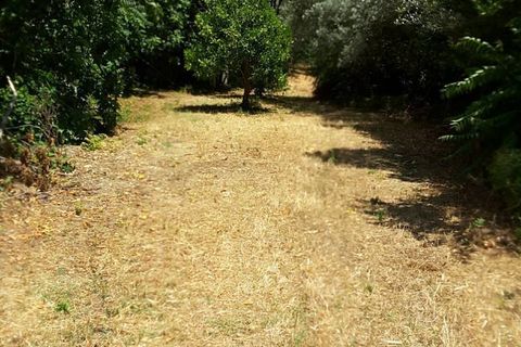 Villa a Cupra Marittima, Ascoli Piceno, Cupra Marittima - € 210.000 | Ref: 4957 - foto 16