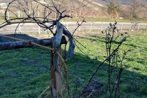 Villa a San Fele, Potenza, San Fele - € 120.000 | Ref: 5307 - foto 24