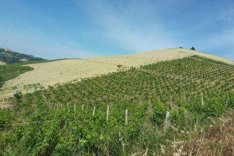 Villa a Carassai, Ascoli Piceno, Carassai - € 280.000 | Ref: 5503 - foto 3