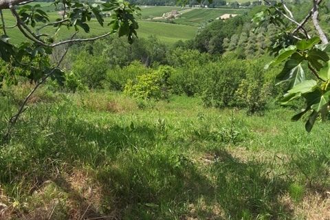 Villa a Carassai, Ascoli Piceno, Carassai - € 280.000 | Ref: 5503 - foto 5
