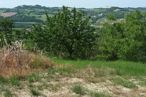 Villa a Carassai, Ascoli Piceno, Carassai - € 280.000 | Ref: 5503 - foto 7