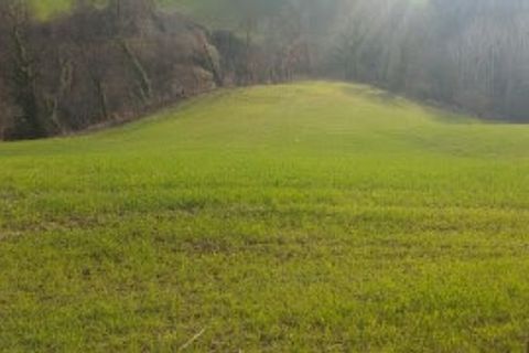 Villa a Mondavio, Pesaro and Urbino, Mondavio - € 450.000 | Ref: 6365 - foto 2