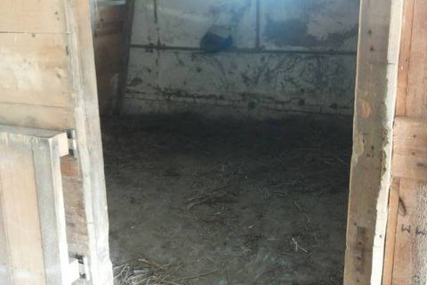 Villa a Mondavio, Pesaro and Urbino, Mondavio - € 450.000 | Ref: 6365 - foto 6