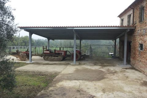 Villa a Mondavio, Pesaro and Urbino, Mondavio - € 450.000 | Ref: 6365 - foto 14